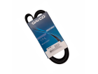 Correia de Acessório Dayco para Peugeot 206 1.4 1.6 8V 1.6 16V 2000 até 2010 - Cod. 6PK1450