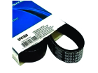 Correia de Acessório Dayco para Peugeot 406 2.0 16V 3.0 24V 1997 até 2001 - Cod. 6PK1600